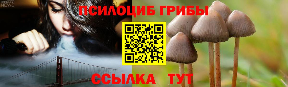Калач-на-Дону  Галлюциногенные грибы Psilocybe  Вход с VPN 
